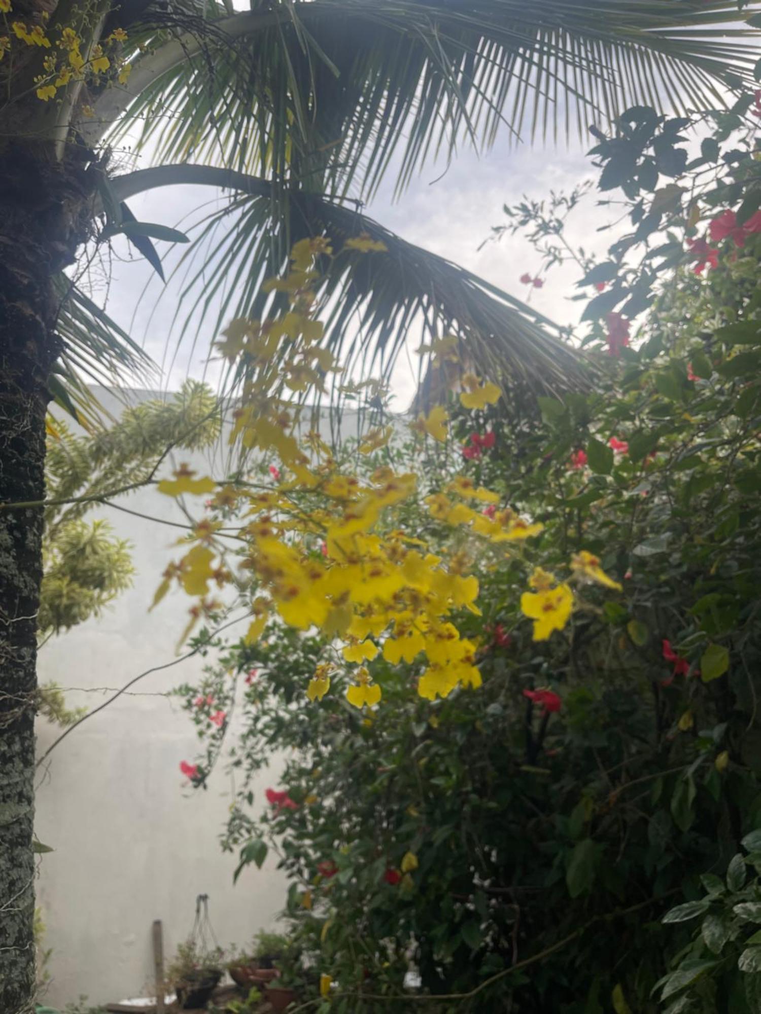 Pousada Bon Vivant Cabo Frio Exterior foto