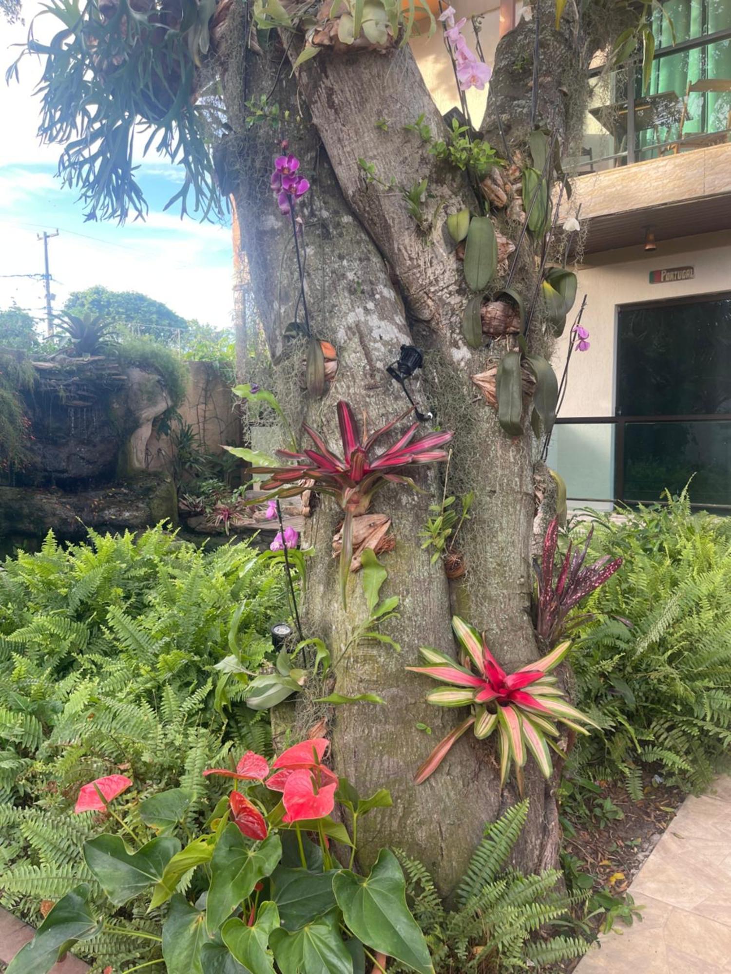 Pousada Bon Vivant Cabo Frio Exterior foto