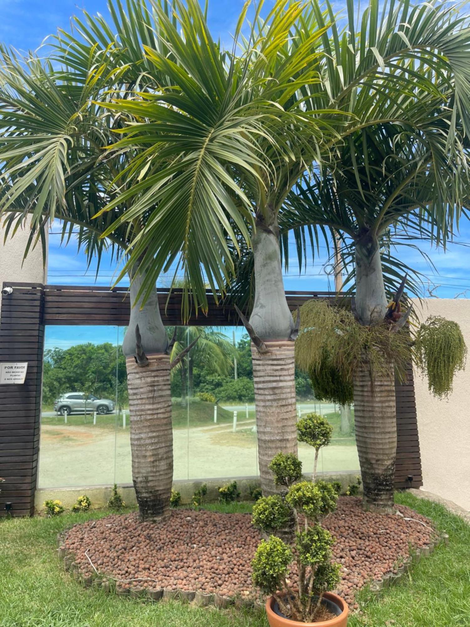 Pousada Bon Vivant Cabo Frio Exterior foto